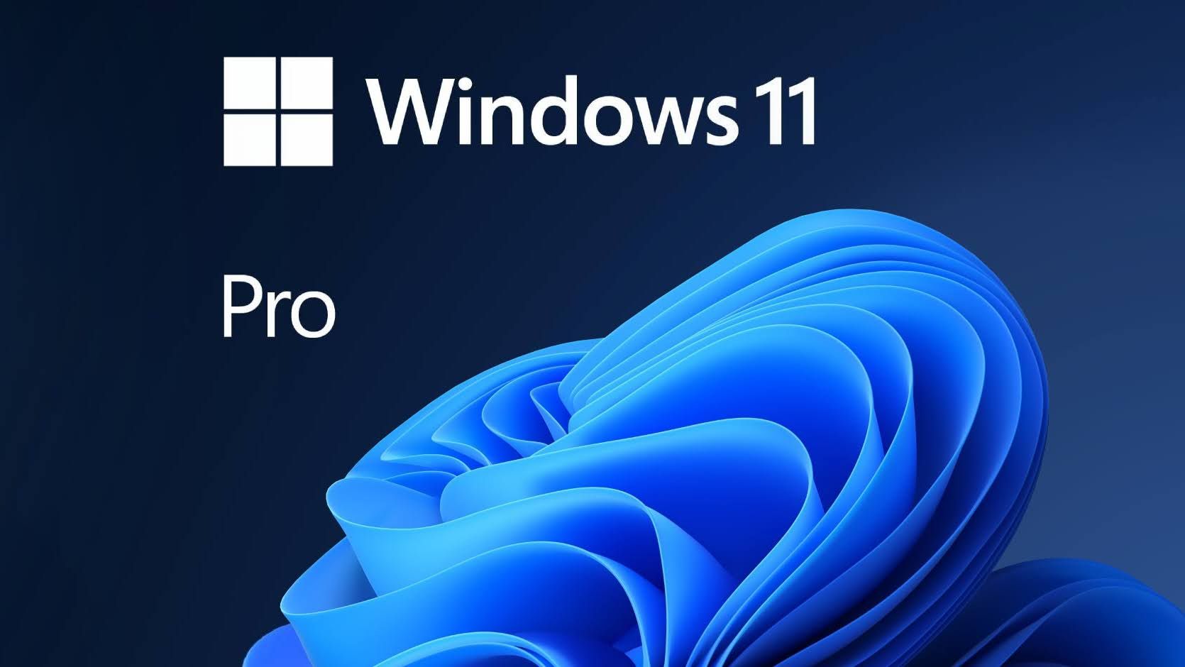 Windows 11 Pro product logo